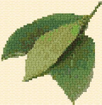 Bay Leaf free cross-stitch pattern