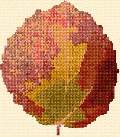 Autumn Poplar Leaf free cross-stitch pattern
