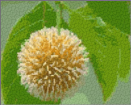 Kadam Flower free cross-stitch pattern