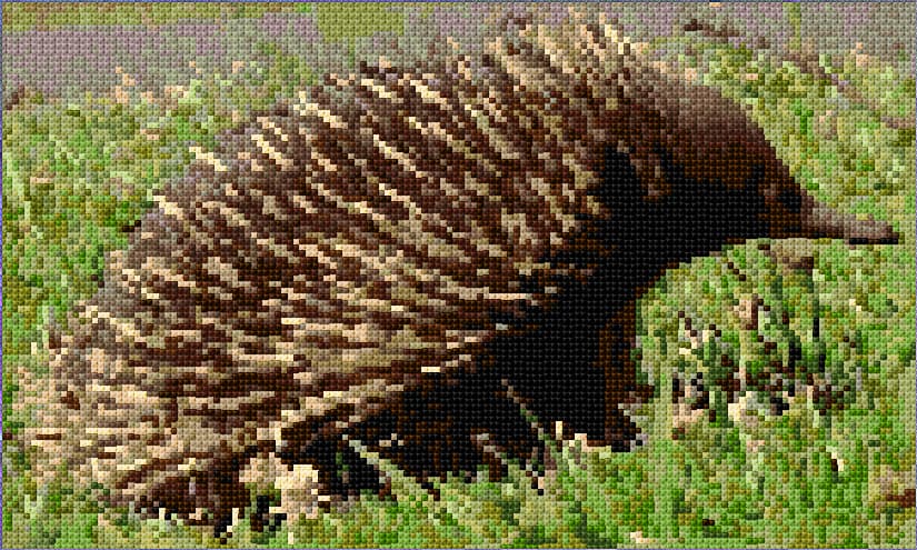 Echidna free cross-stitch pattern