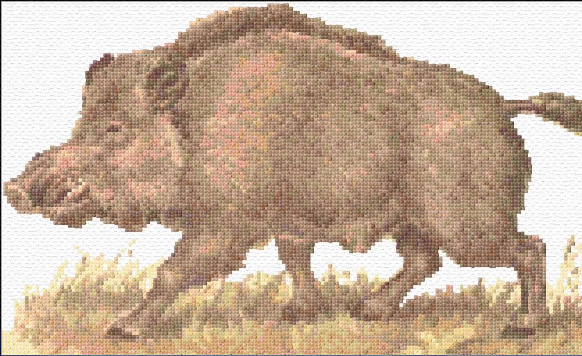 Razorback Hog free cross-stitch pattern