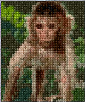 Monkey free cross-stitch pattern