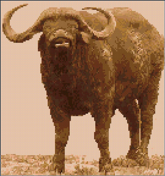 Buffalo free cross-stitch pattern