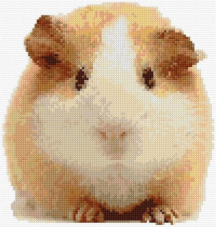 Guinea Pig free cross-stitch pattern