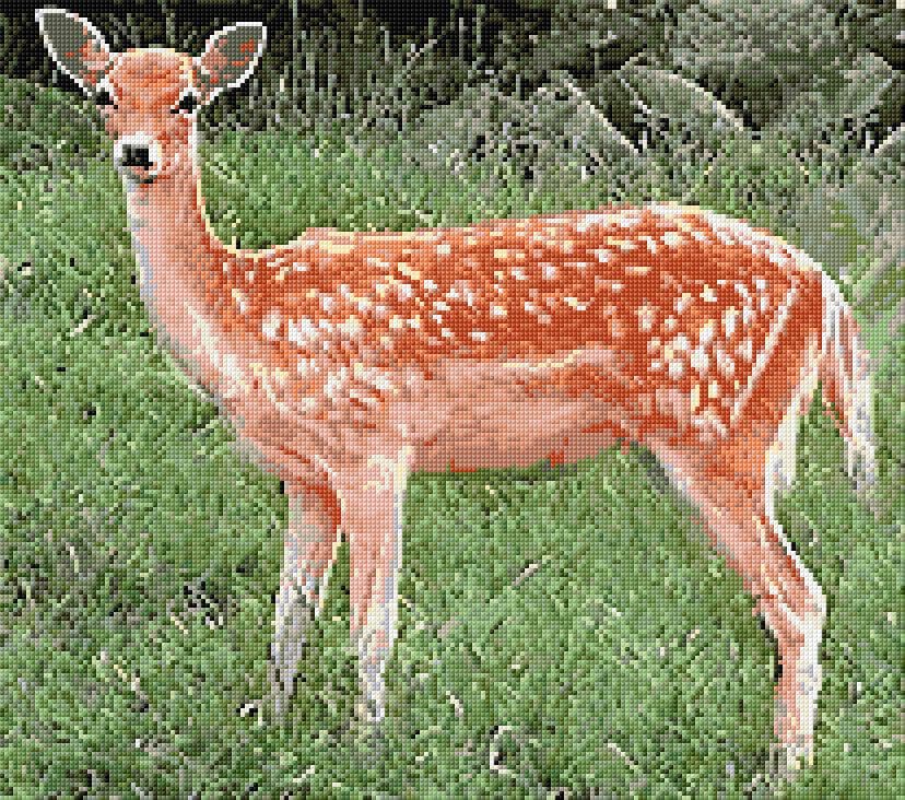 Fallow Deer free cross-stitch pattern
