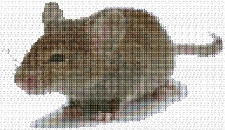 Mouse free cross-stitch pattern