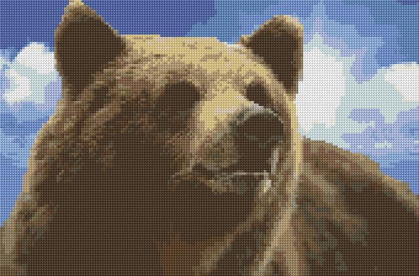 Brown Bear free cross-stitch pattern
