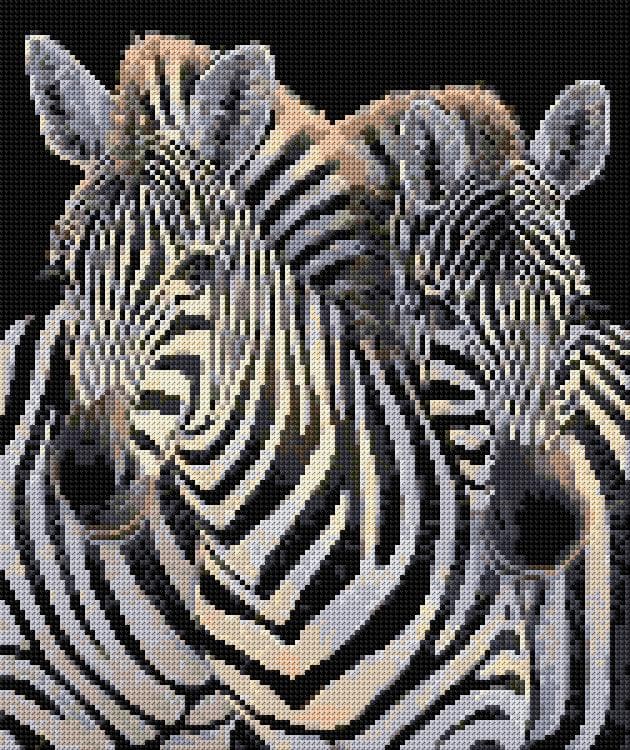 Zebra free cross-stitch pattern
