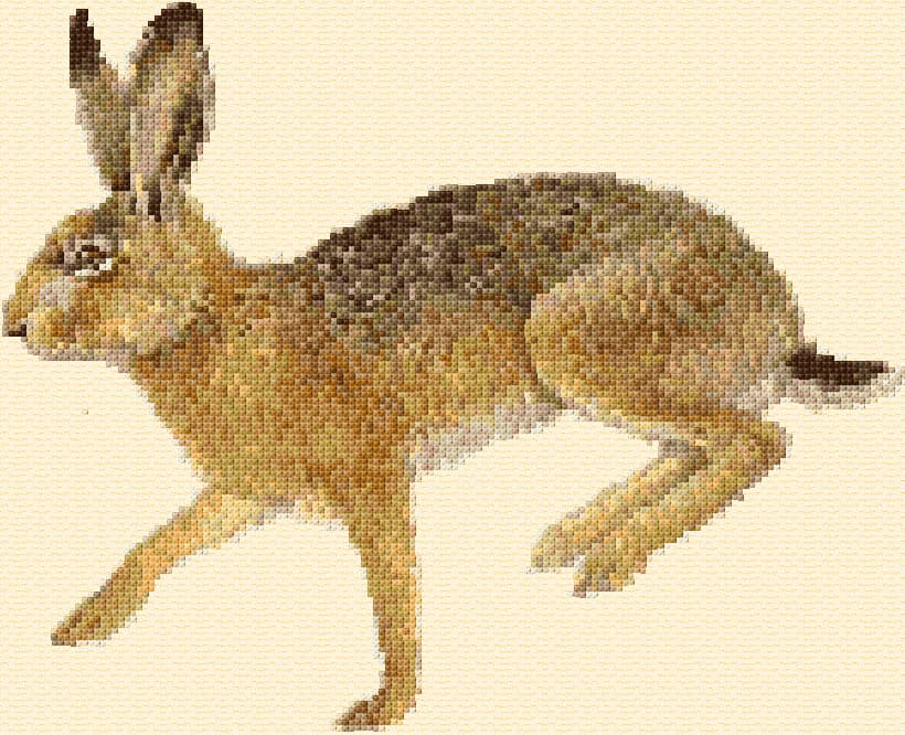 Hare free cross-stitch pattern