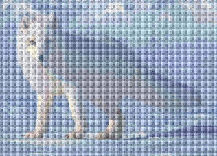 Arctic Fox free cross-stitch pattern
