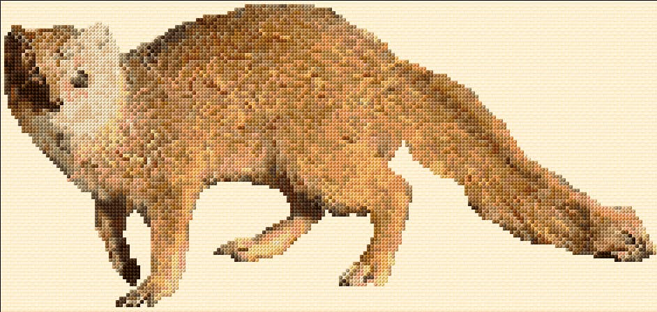 Yellow Mongoose free cross-stitch pattern