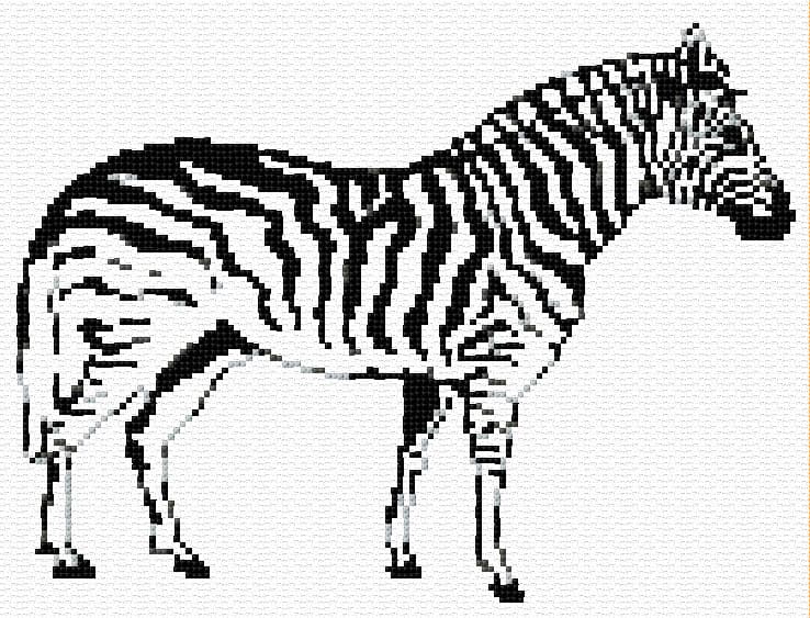 Zebra free cross-stitch pattern