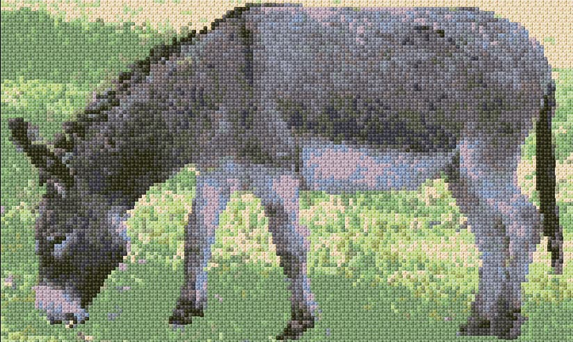 Donkey free cross-stitch pattern