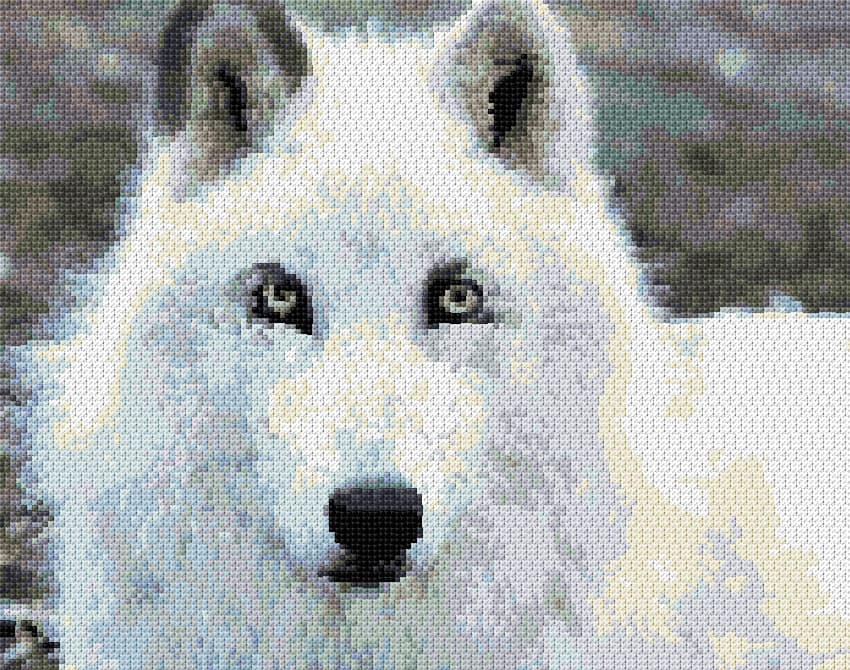 Arctic Wolf free cross-stitch pattern