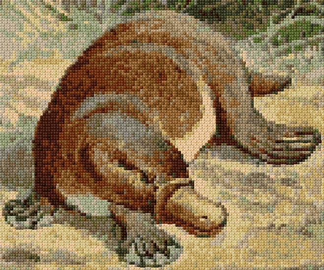 Platypus free cross-stitch pattern