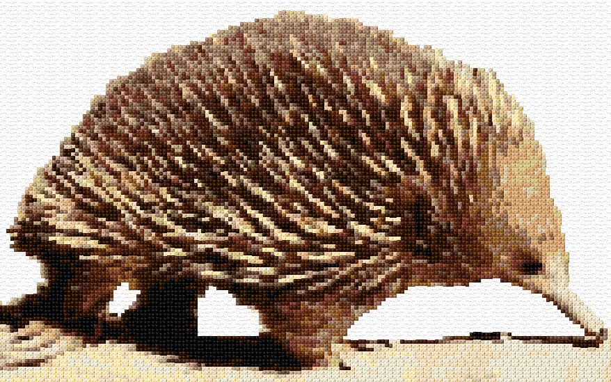 Echidna free cross-stitch pattern