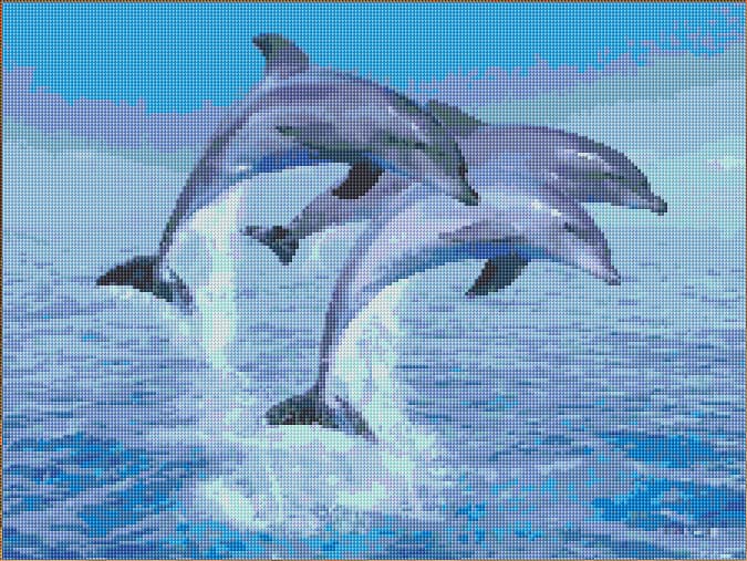 Dolphins free cross-stitch pattern
