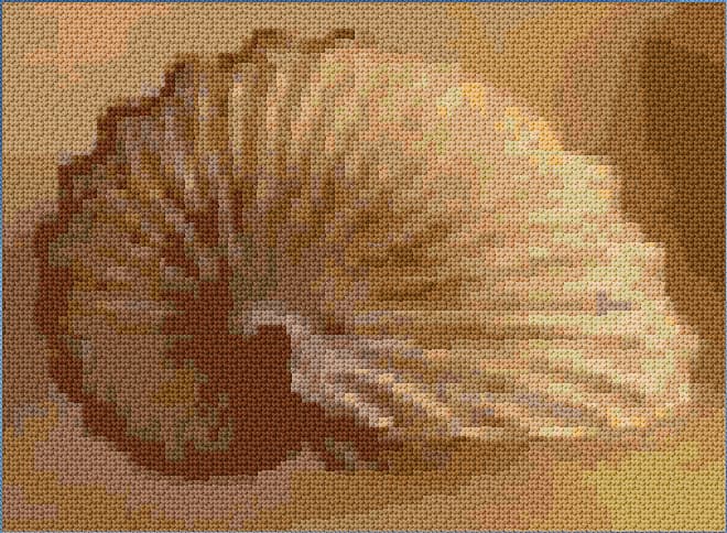 Seashell free cross-stitch pattern