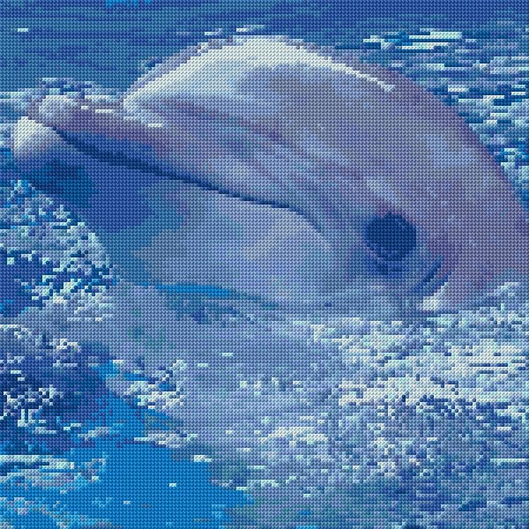 Dolphin free cross-stitch pattern