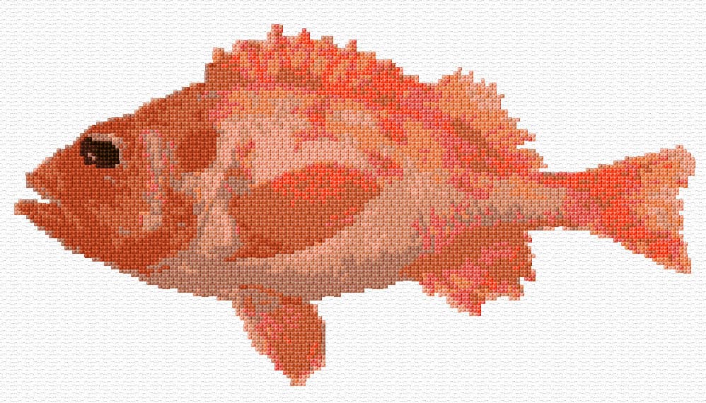 Red Fish free cross-stitch pattern