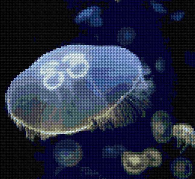 Jellyfish free cross-stitch pattern
