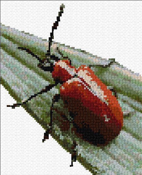Beetle on Leaf free cross-stitch pattern