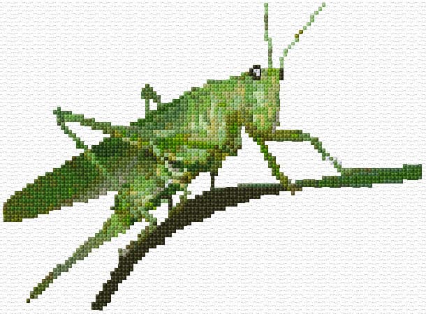 Grasshopper free cross-stitch pattern