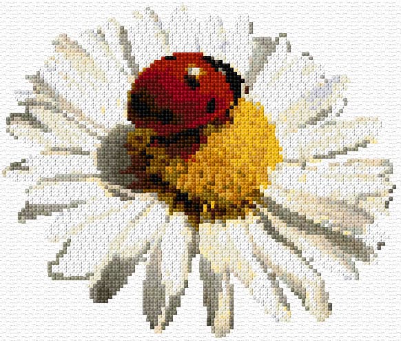 Ladybird on Camomile free cross-stitch pattern