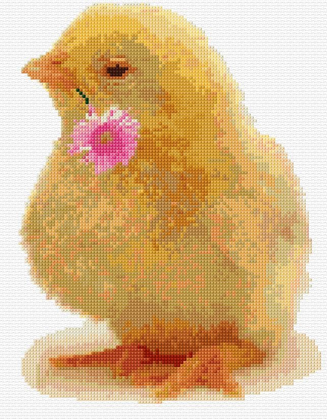 Chick free cross-stitch pattern