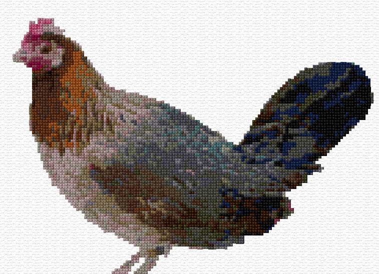 Hen free cross-stitch pattern