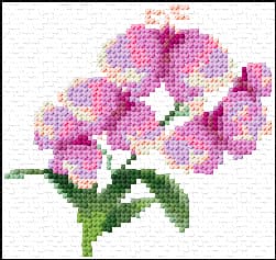 Flowers free cross-stitch pattern