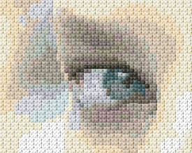 Eye free cross-stitch pattern