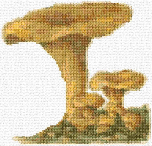 Shanterelle free cross-stitch pattern
