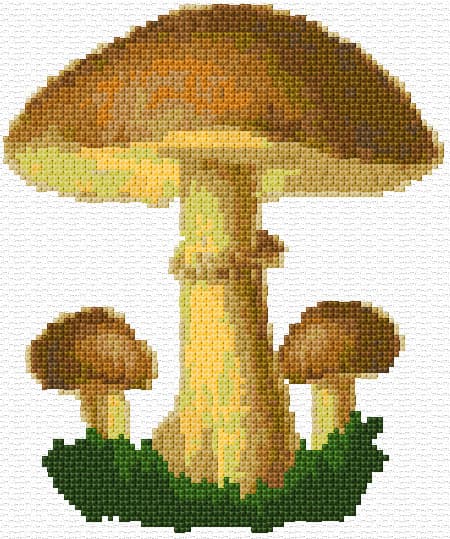 Slippery Jack free cross-stitch pattern
