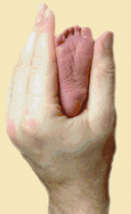 Little Foot free cross-stitch pattern