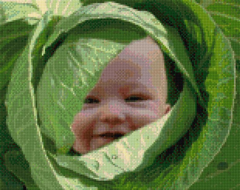 Baby in the Cabbage free cross-stitch pattern