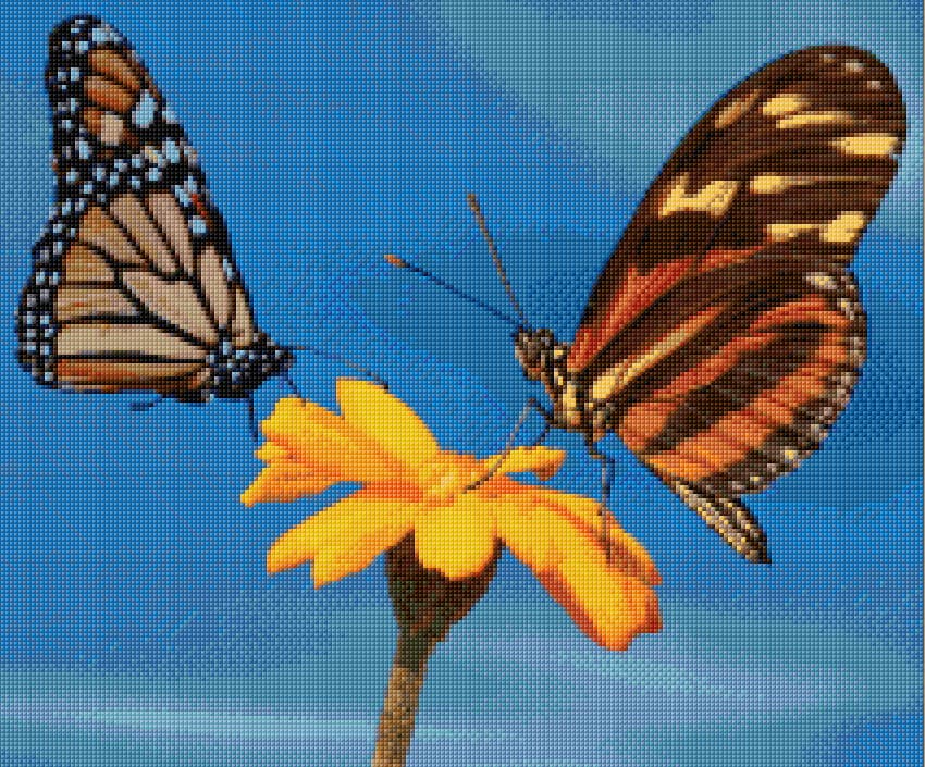 Two Butterflies free cross-stitch pattern