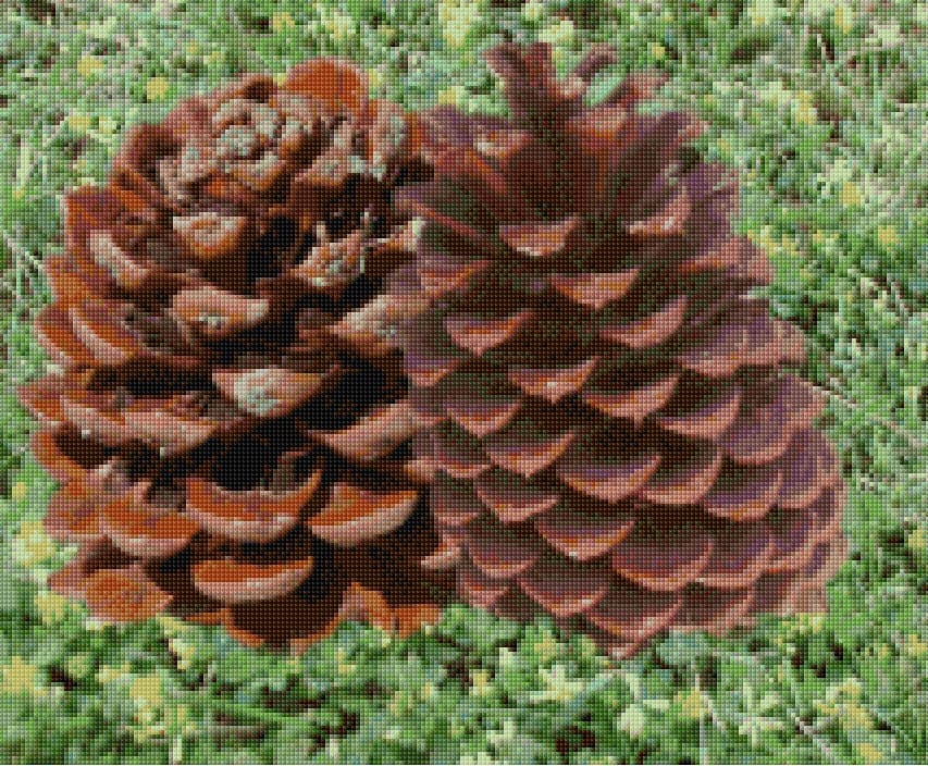 Pine Cones free cross-stitch pattern
