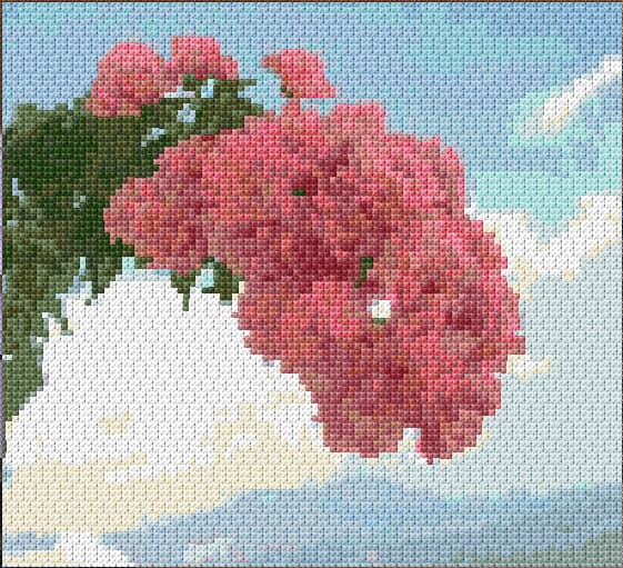 Morning Glory free cross-stitch pattern