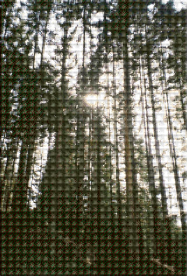 Pine Forest free cross-stitch pattern
