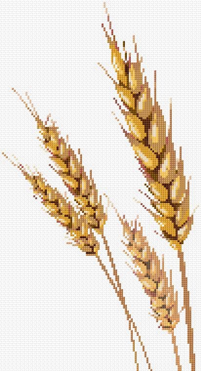 Spikelets free cross-stitch pattern