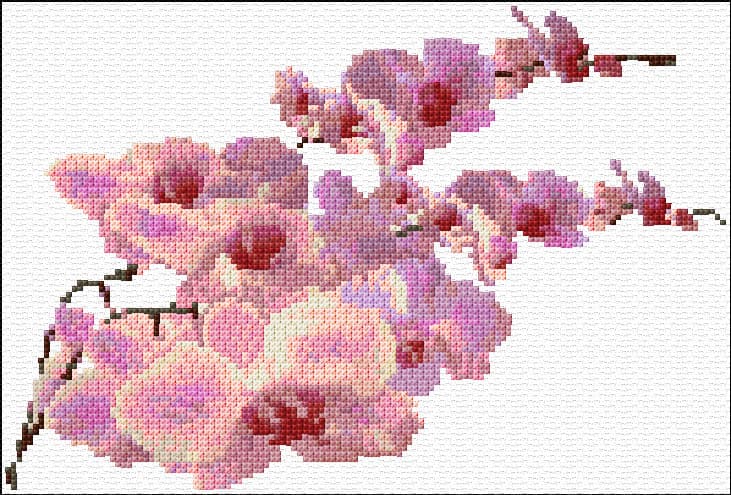 Orchids free cross-stitch pattern