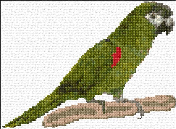 Mini Maccaw free cross-stitch pattern