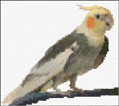 Cockatiel free cross-stitch pattern