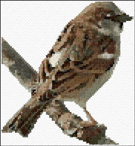 House Sparrow free cross-stitch pattern