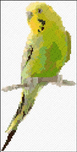 Green Parakeet free cross-stitch pattern