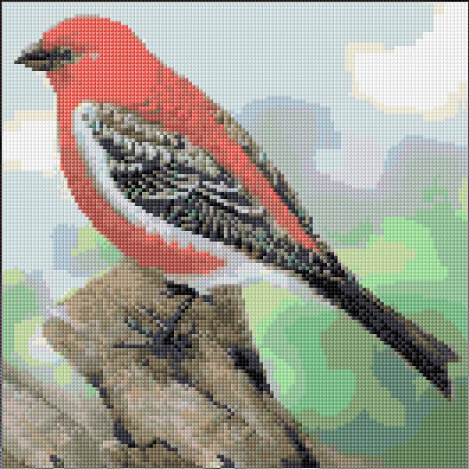 Pine Grosbeak free cross-stitch pattern