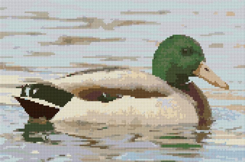 Mallard free cross-stitch pattern