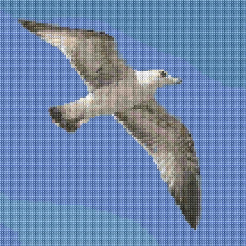 Albatross free cross-stitch pattern