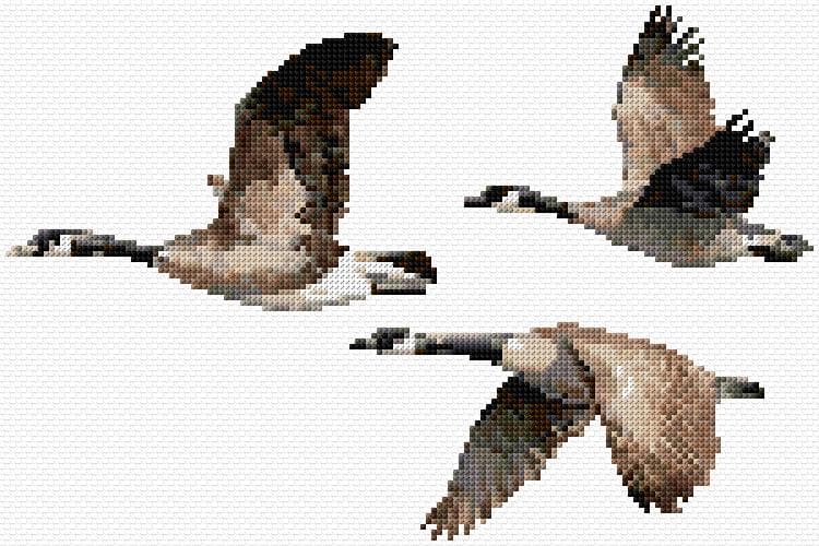 Canadian Geese free cross-stitch pattern